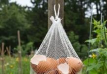 Ne Bacajte Ljuske od Jaja! Obesite ih u Bašti – Razlog će vas iznenaditi!