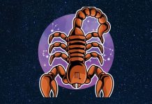 ŠKORPIJA – HOROSKOP DO 15. NOVEMBRA: U LJUBAVI VAM CVETAJU RUŽE, TAKOĐE VAM STIŽE I NOVAC, vašoj sreći nema kraja!