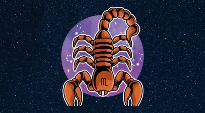 ŠKORPIJA – HOROSKOP DO 15. NOVEMBRA: U LJUBAVI VAM CVETAJU RUŽE, TAKOĐE VAM STIŽE I NOVAC, vašoj sreći nema kraja!