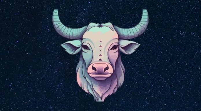 BIK – VELIKI CIGANSKI HOROSKOP DO KRAJA JANUARA: SUZE I OSMESI SE SMENJUJU, prosto vam dolazi ŠOK ZA ŠOKOM!