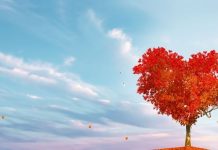 BIVŠA LJUBAV SMIŠLJA PLAN KAKO DA IH VRATI: OVIM znacima postaje jasno DA NIJE GOTOVO nego da zapravo TEK POČINJE!