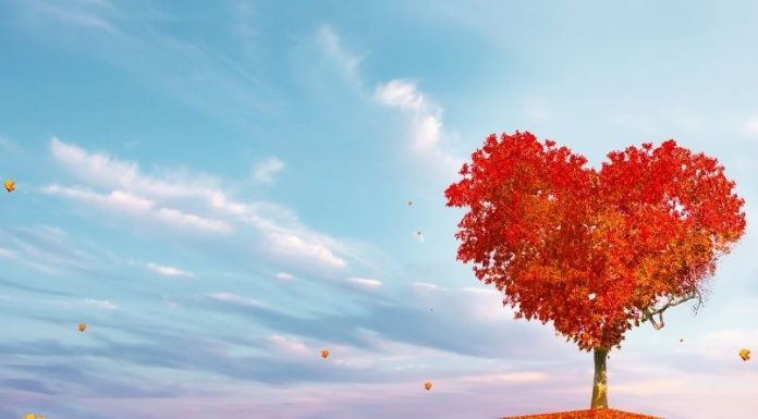 BIVŠI PARTNER IM SE VRAĆA SPREMNIJI NEGO IKADA: OVIM znacima dolaze trenuci u ljubavi koji ostavljaju bez teksta!