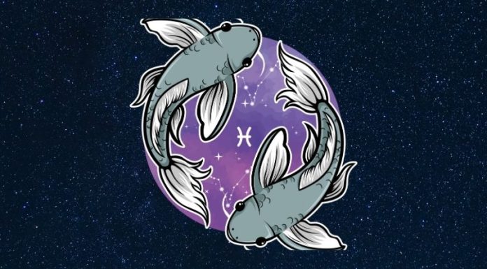 RIBE – HOROSKOP ZA PONEDELJAK, UTORAK I SREDU: DANI TOKOM KOJIH SE SVE OKREĆE I VI PROSTO NE VERUJETE SVOJIM OČIMA, evo šta vam dolazi!